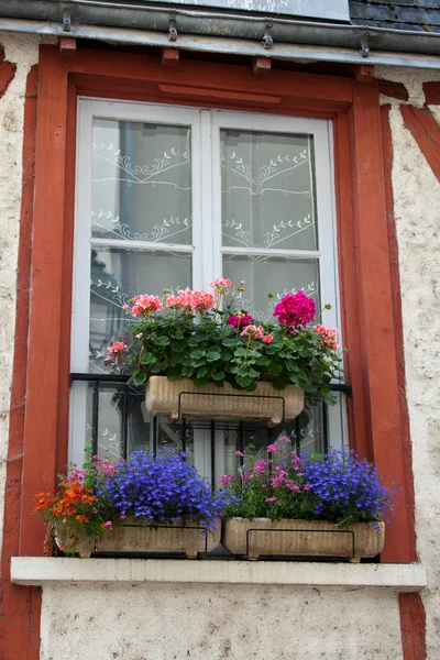 Fenster mit bunten Blumen. Tal der Loire. Frankreich — Stockfoto