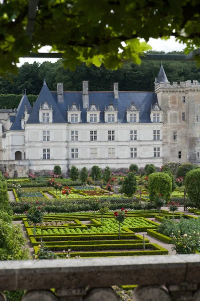 Jardines y Chateau de Villandry en el Valle del Loira en Francia — Foto de Stock