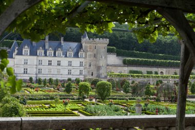 сади і chateau de Вілландрі в Долина Луари у Франції