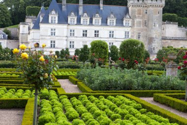 сади і chateau de Вілландрі в Долина Луари у Франції