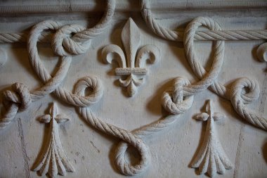 Hanedan motifleri kale amboise içinde. nehir loire .valley. Fransa