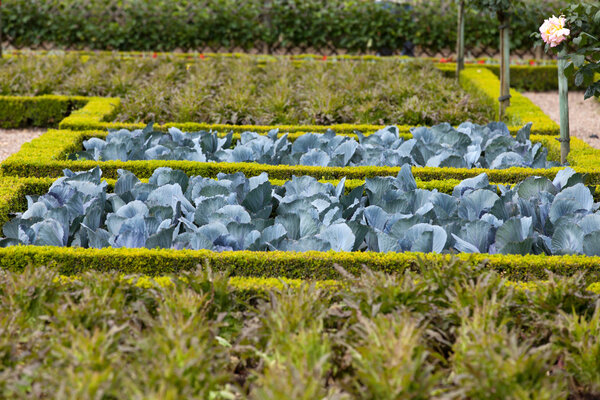 Gardens and Chateau de Villandry in Loire Valley in France