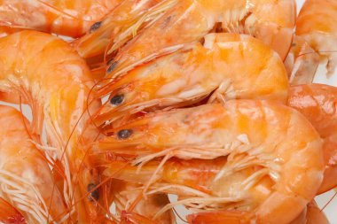 Beyaz bir arka plan üzerinde izole taze karides