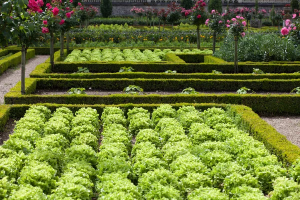 Gardens and Chateau de Villandry in Loire Valley in France — Stock Photo, Image