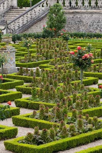 Tuinen en Château de villandry in Loirevallei in Frankrijk — Stockfoto