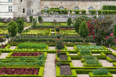 сади і chateau de Вілландрі в Долина Луари у Франції