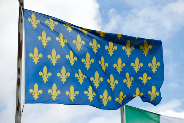 中世フランスの旗 — ストック写真