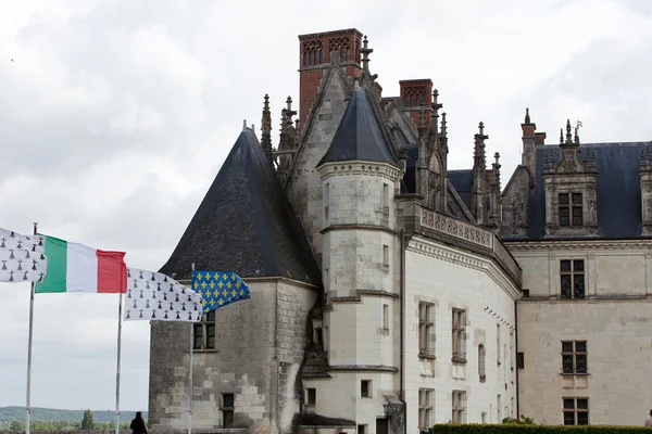 Nehir loire, Amboise Kalesi .valley. Fransa — Stok fotoğraf