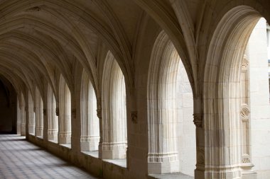 Fontevraud abbey - loire valley, Fransa