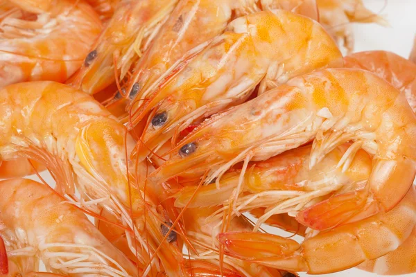 Fresh shrimp are isolated on a white background — Stock Photo, Image