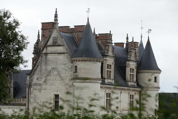 Nehir loire, Amboise Kalesi .valley. Fransa — Stok fotoğraf