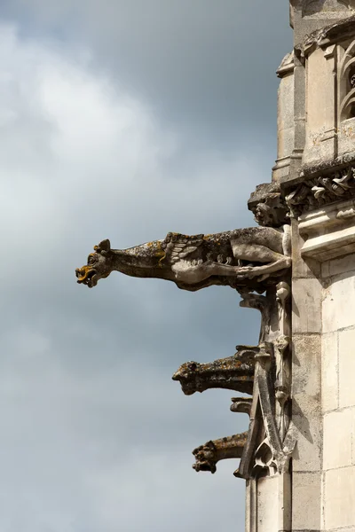 Old gargoyles on the wall of the castle in Amboise — Stock Photo, Image