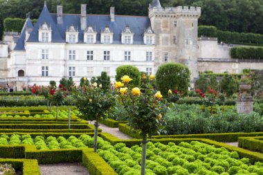 сади і chateau de Вілландрі в Долина Луари у Франції