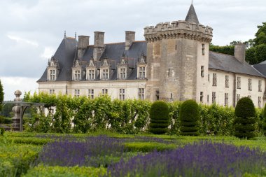 Gardens with the flourishing lavender at castles in the valley of Loire clipart