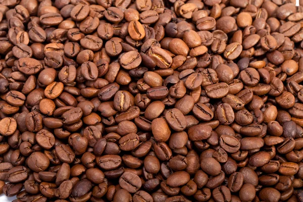 Kávová zrna zavřít izolované na bílém — Stock fotografie