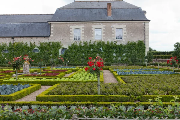 Gardens and Chateau de Villandry in the Loire Valley in France — стоковое фото