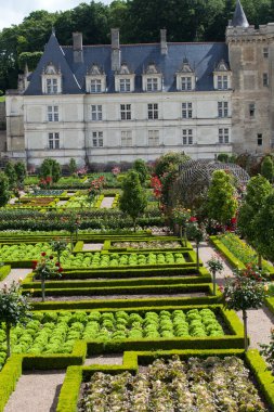 сади і chateau de Вілландрі в Долина Луари у Франції