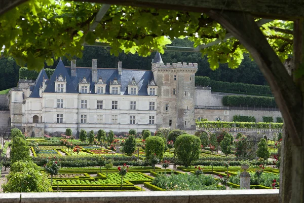 Tuinen en Château de villandry in Loirevallei in Frankrijk — Stockfoto