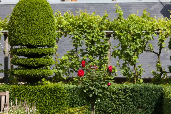 ロワール渓谷の城にある豪華な装飾庭園 — ストック写真