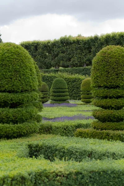 Splendides jardins décoratifs dans les châteaux de la vallée de Loire — Photo