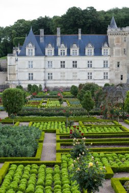 сади і chateau de Вілландрі в Долина Луари у Франції