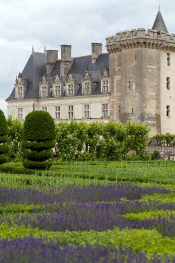 сади і chateau de Вілландрі в Долина Луари у Франції