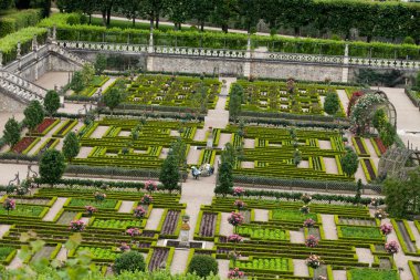 Villandry Şatosu 'ndaki mutfak bahçesi. Loire Vadisi, Fransa