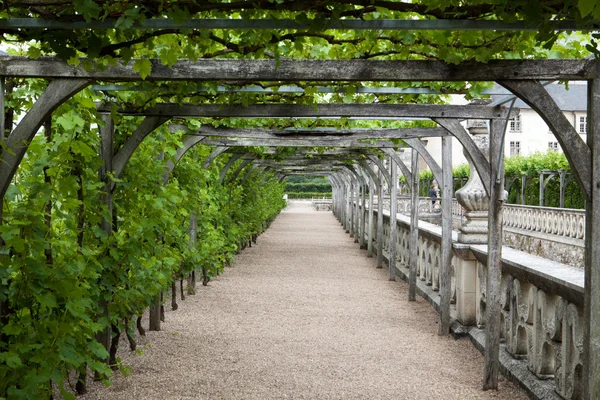 Gardens and Chateau de Villandry in Loire Valley in France — Stock Photo, Image