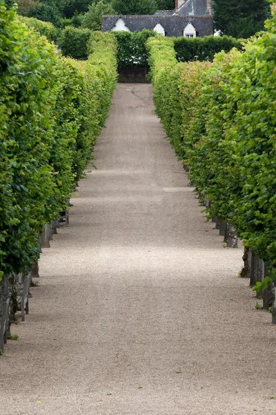 Splendidi giardini decorativi nei castelli in Francia — Foto Stock