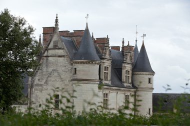 nehir loire, Amboise Kalesi .valley. Fransa