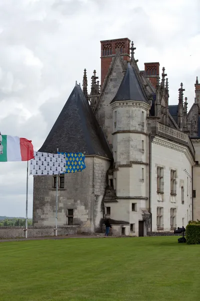 Nehir loire, Amboise Kalesi .valley. Fransa — Stok fotoğraf