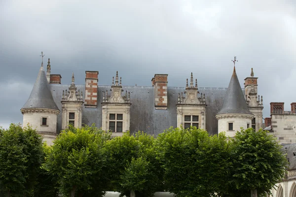 Nehir loire, Amboise Kalesi .valley. Fransa — Stok fotoğraf