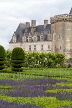 сади і chateau de Вілландрі в Долина Луари у Франції