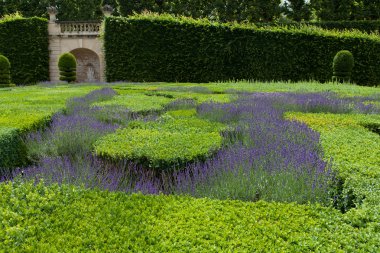 bayındır ile bahçeye lavanta loire valley kale