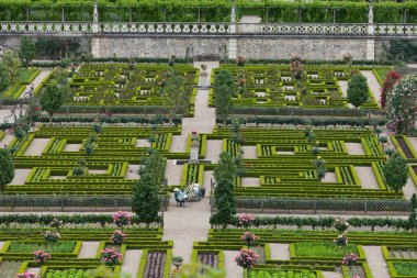 Villandry Şatosu 'ndaki mutfak bahçesi. Loire Vadisi, Fransa
