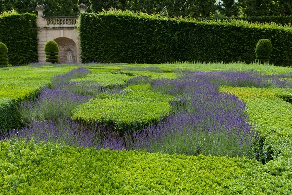 Giardini con la fiorente lavanda nei castelli della valle della Loira — Foto Stock