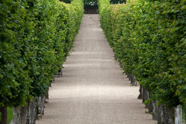 Espléndidos jardines decorativos en castillos en Francia —  Fotos de Stock