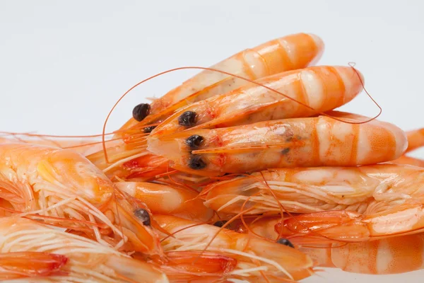 Fresh shrimp isolated on a white background — Stock Photo, Image