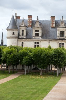 nehir loire, Amboise Kalesi .valley. Fransa