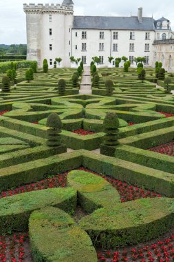 сади і chateau de Вілландрі в Долина Луари у Франції