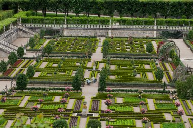 Villandry Şatosu 'ndaki mutfak bahçesi. Loire Vadisi, Fransa