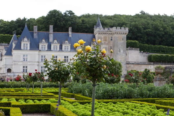 Zahrady a zámek de villandry v údolí Loiry ve Francii — Stock fotografie