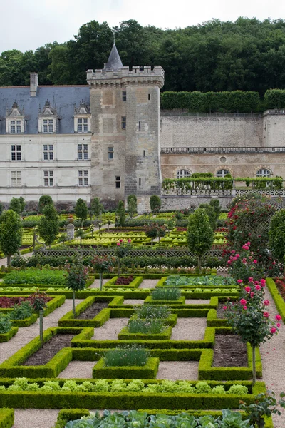 Zahrady a zámek de villandry v údolí Loiry ve Francii — Stock fotografie