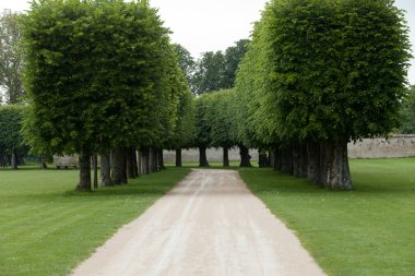 büyük çayır ve kale chambord çevresinde park. Fransa