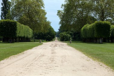 büyük çayır ve kale chambord çevresinde park. Fransa
