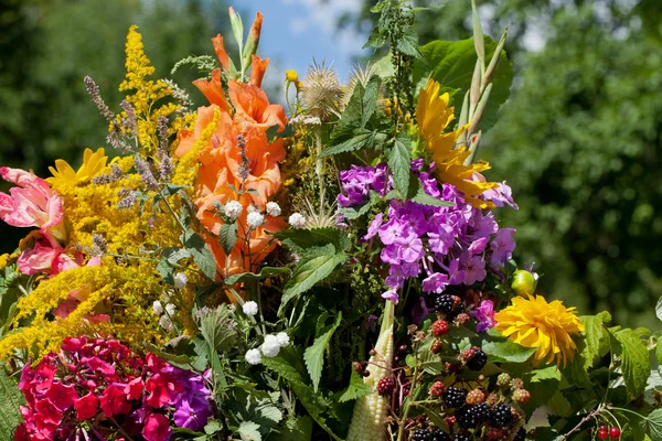Smukke buketter af blomster og urter - Stock-foto