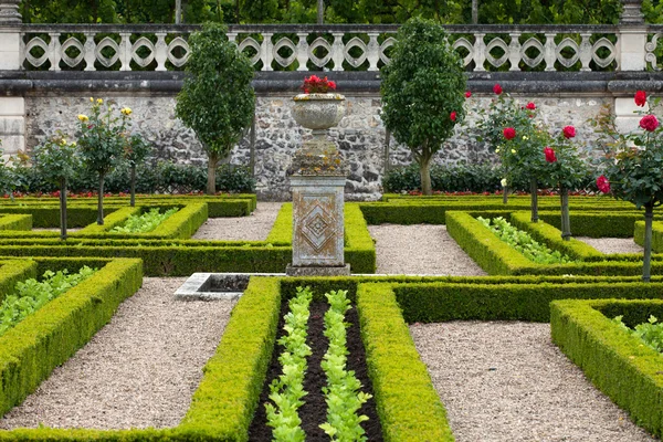 Kuchyňská zahrada v Chateau de Villandry. Loire Valley, Francie — Stock fotografie