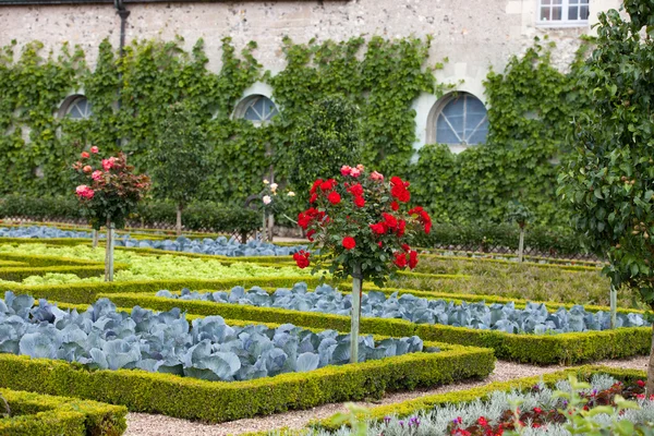 Zahrady a zámek de villandry v údolí Loiry ve Francii — Stock fotografie