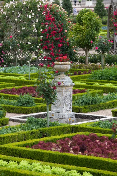 Jardins et Château de Villandry dans la vallée de la Loire en France — Photo