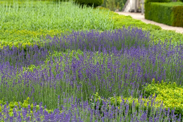 Esplêndidos jardins decorativos em castelos no Vale do Loire — Fotografia de Stock